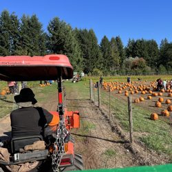 Lattin's Country Cider Mill and Farm