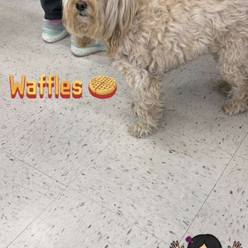 Pets Plus - Pet Stores Near Me - San Juan Capistrano, California Pets Plus - Pet Stores Near Me - San Juan Capistrano, California