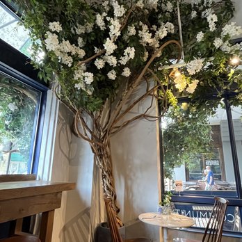maman - Interior designs - Breakfast & Brunch Near Me - Bethesda, Maryland