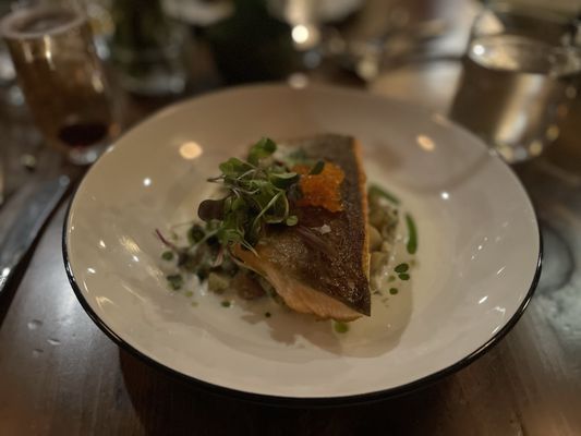 Bred in the Bone by null