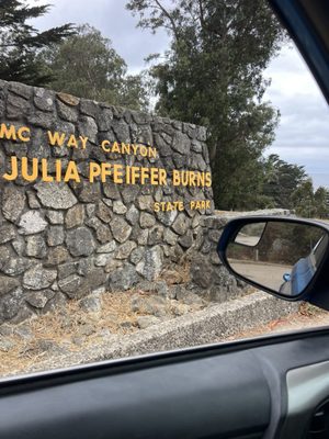 Julia Pfeiffer Burns State Park by null