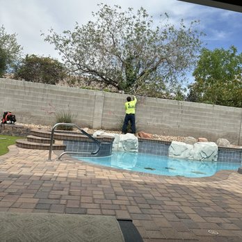 Mr. Tree - Tree Services Near Me - Henderson, Nevada
