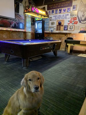 Duchess Tavern by null
