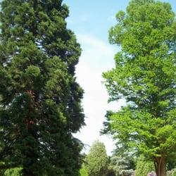 Arboretum