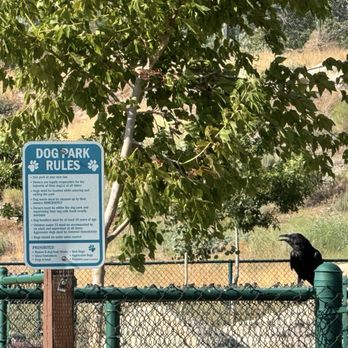MacKay Park - Dog park rules - Parks Near Me MacKay Park - Dog park rules - Parks Near Me