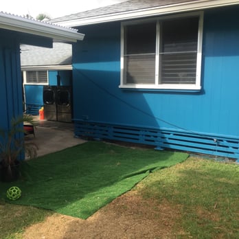 IE Painting - This is the back of the main house. Don't mind that black line, it's a cord I will get rid of. I wish I could capture how detailed they are! - Painters Near Me - hauula, Hawaii