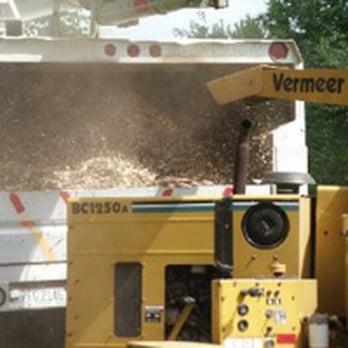 Central Kentucky Tree Service - Tree Services Near Me - Versailles, Kentucky