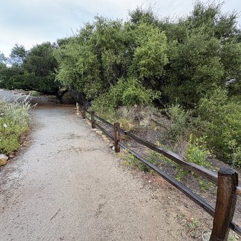 Point Loma Native Plant Garden - Local Flavor Near Me - Ocean Beach, California