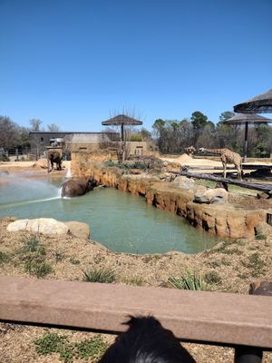 Caldwell Zoo by null
