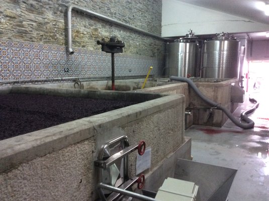 Ânima Durius by null