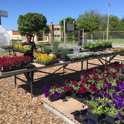 Webers Greenhouse