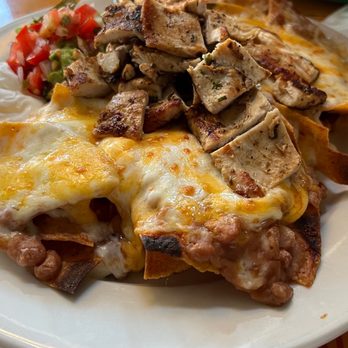 5 Burro Cafe - Con Pollo - Mexican Near Me - Forest Hills, New York