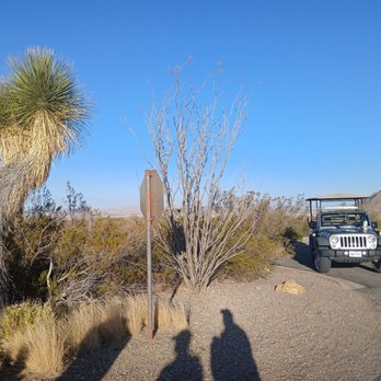 Far Flung Outdoor Center - Learning about plants - Tours Near Me - Terlingua, Texas