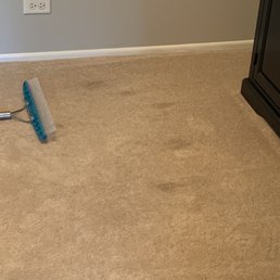 Spots in my carpet, before Lee's got them out. It looks brand new now. Spots in my carpet, before Lee's got them out. It looks brand new now.