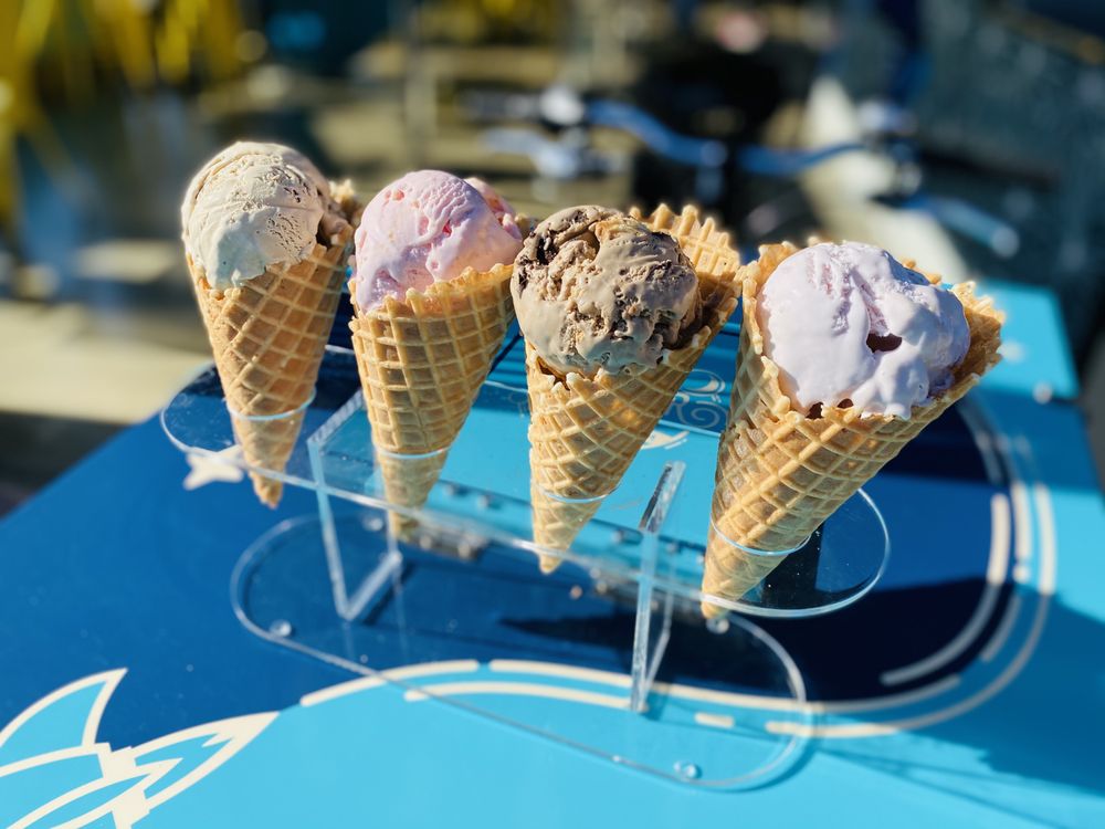 JUPITER MOON ICE CREAM Updated August 2024 22 Photos & 16 Reviews
