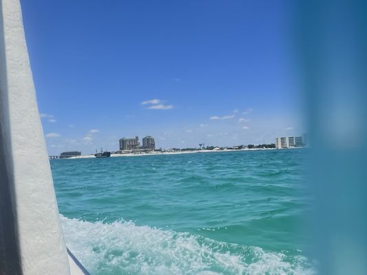 Pelican Adventures by null