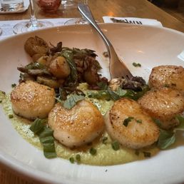 Scallops Scallops