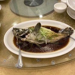 Fortune Hongkong Seafood Restaurant - Subic Bay Freeport Zone