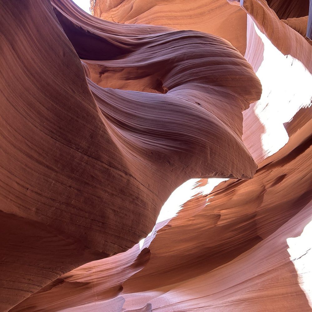 Grand Canyon Adventures - Tours Near Me - Flagstaff, Arizona Grand Canyon Adventures - Tours Near Me - Flagstaff, Arizona