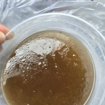 Viet Pearl - Beef Broth - Vietnamese Near Me - Ellicott City, Maryland Viet Pearl - Beef Broth - Vietnamese Near Me - Ellicott City, Maryland