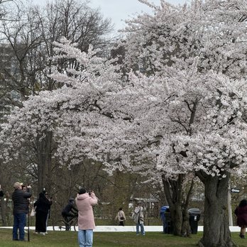 High Park - Parks Near Me - Toronto, Ontario