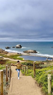 Sutro Baths by null