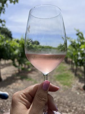 Saddleback Cellars by null