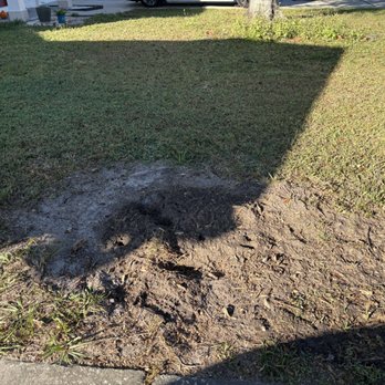 Blaze Tree Service - It's completely gone! - Tree Services Near Me
