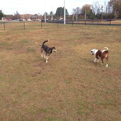 Byerly Bark Dog Park - We visited the newly installed dog park on a lovely day. There's a clean water fountain, human sized benches, a trash can, and poop bags.