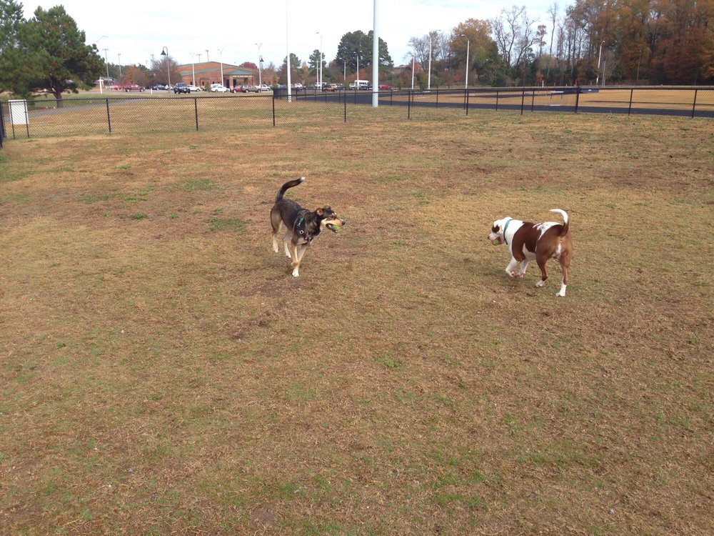 Social spots from Byerly Bark Dog Park