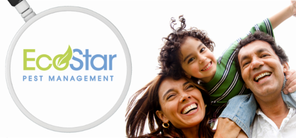 Ecostar Pest Management