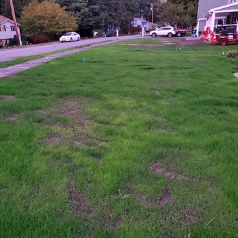 Bryan Fournier Landscaping - 29 days after hydroseeding, horrible coverage - Landscape Architects or Designers Near Me - Goffstown, New Hampshire