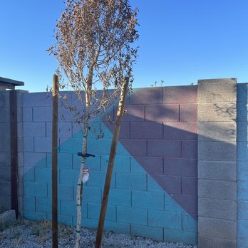 Arizona’s Greenest Grass - Artificial Turf Near Me - Glendale, Arizona