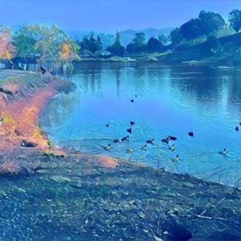 Ed R. Levin County Park - Sandy Wool Lake - Dog Parks Near Me - Milpitas, California