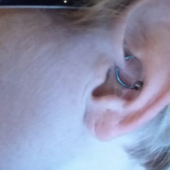 Third Eye Body Art - My daith piercing by Rob - Tattoo Near Me - Mesa, Arizona Third Eye Body Art - My daith piercing by Rob - Tattoo Near Me - Mesa, Arizona