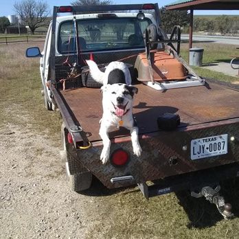 Texoma Veterinary Hospital - Veterinarians Near Me - Sherman, Texas