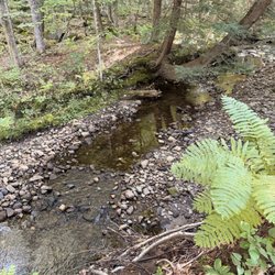 Newfound R V Park - Creek behind campsite 22