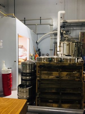 Giant Jones Brewing by null