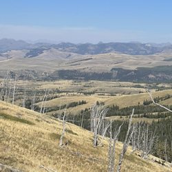 Mt. Washburn - 09.04.2022