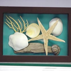 Seashell Shadow Box