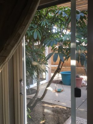 BRIGHT N SHINY WINDOW CLEANING & PRESSURE WASHING - Updated August 2024