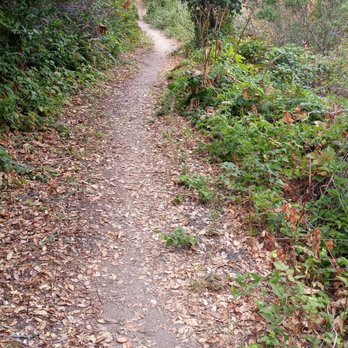 Skyline Trail - Hiking Near Me - Orinda, California
