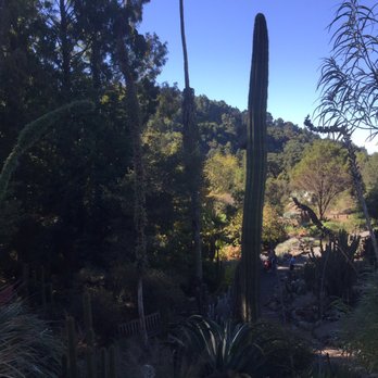 UC Botanical Garden at Berkeley - Botanical Gardens Near Me - Berkeley, California