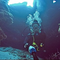 Abacus Tax Services - When we aren't doing taxes, you can find us underwater :)