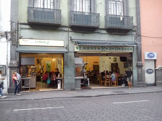 El Patio y las Ranas by null