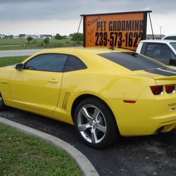 Clear Image - 2010 Camaro