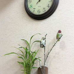 Rohan Toor Dental Care - Ventura Dentist - Is it time for your cleaning? Give us a call! 805-639-3050