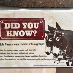 Borax Museum - 18 mules+2 horses = 20!