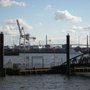 Photo of Altona Fischmarkt Fähranleger HADAG