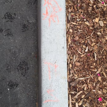 Fiori Estates - Somebody wrote obscene all around my parking space - Apartments Near Me - Rohnert Park, California Fiori Estates - Somebody wrote obscene all around my parking space - Apartments Near Me - Rohnert Park, California